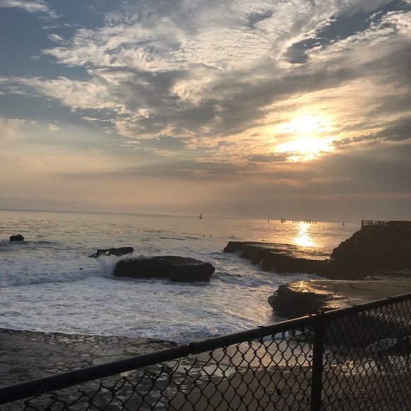 Meet your Posher, Emma - Picture 4 of 16